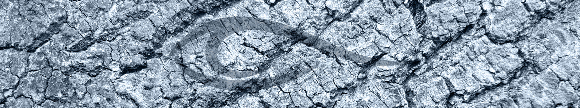 Augenarztpraxis Wefelmeyer - Bochum